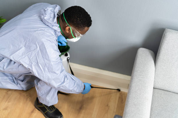 Reliable South Henderson, NC Pest Control Solutions